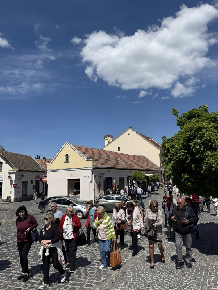 2025-05-10 Szentendrei kirándulás, vendégségben a Pomázi Kertbarátok Egyesületnél