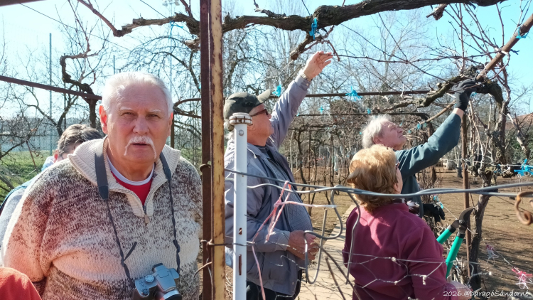 2026-03-07.-én Gyáli Kertbarát Kör -Metszési bemutató tagtársunknál és Méz Kiállítás+vásárlás
