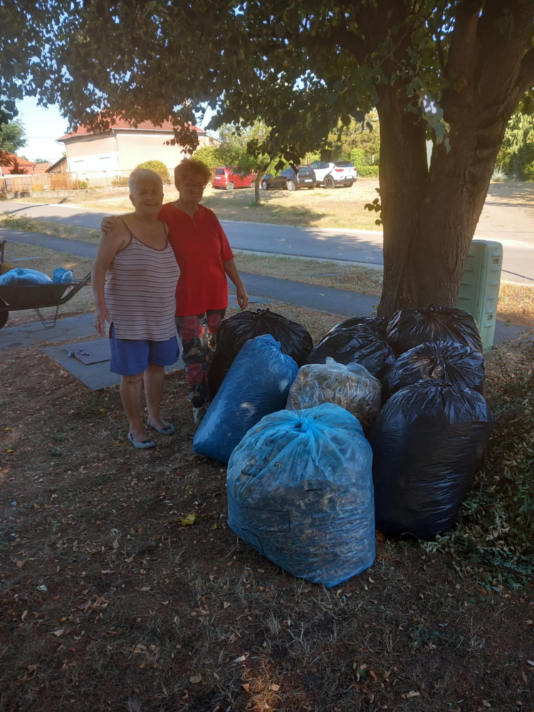2026-06-26 Kálvin téren szemét szedése, gereblyézés és locsolás